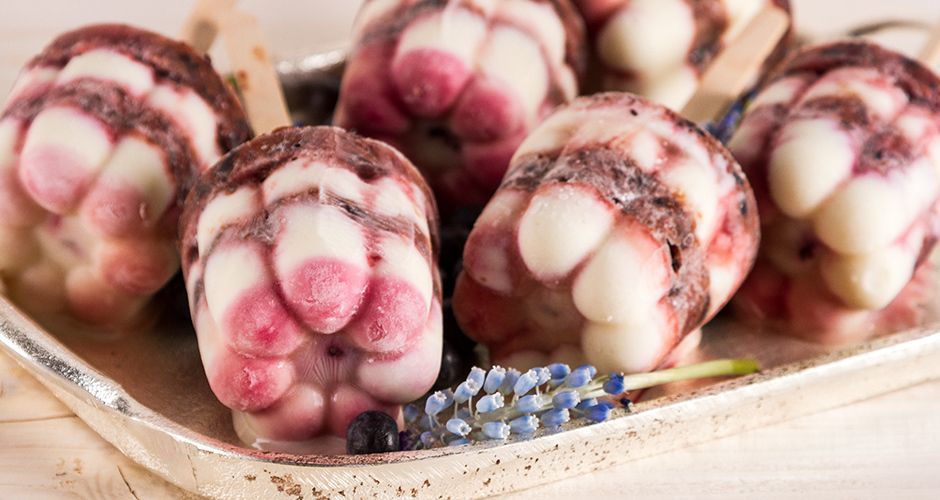 Yogurt and blueberry popsicles