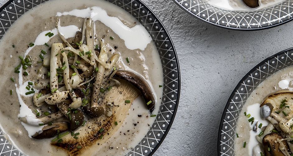 Wild mushroom soup