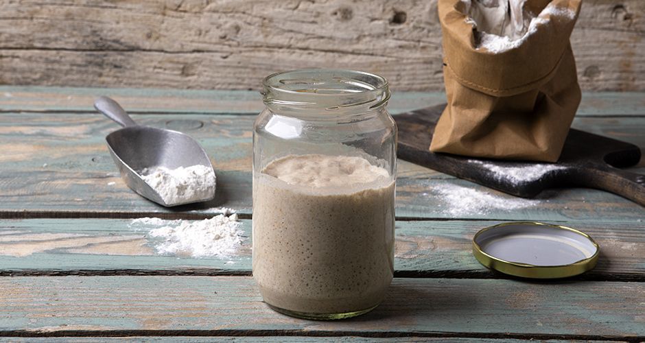 Sourdough starter