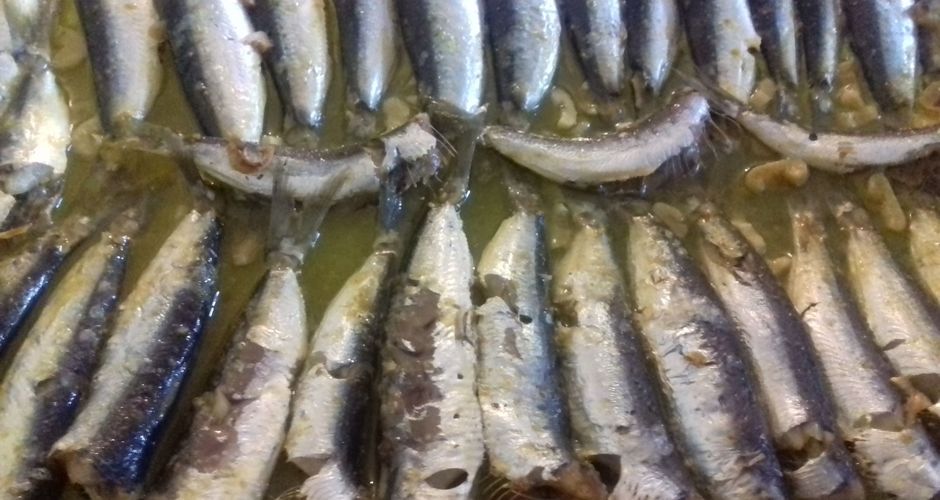 Sardines in a Lemon Olive Oil Sauce